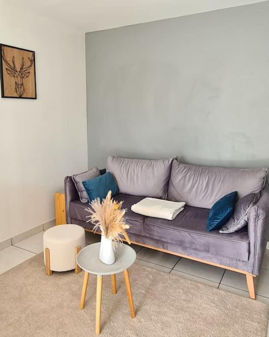 De 70m² Avec Vue Sur Le Massif Du Pilat Apartment *
