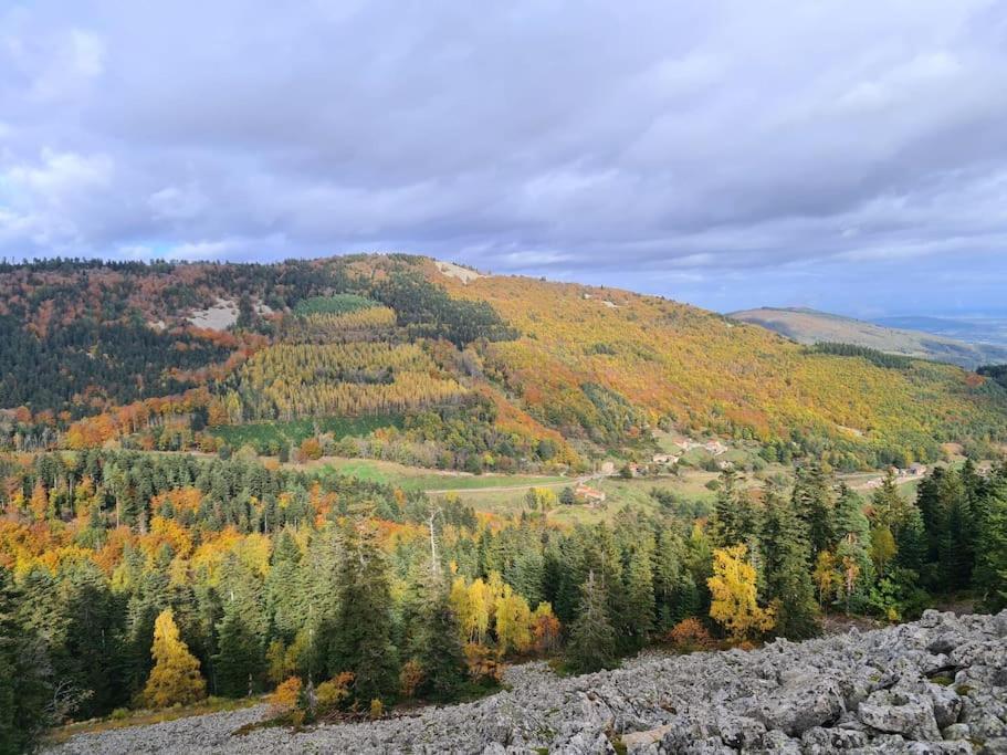 De 70m² Avec Vue Sur Le Massif Du Pilat *