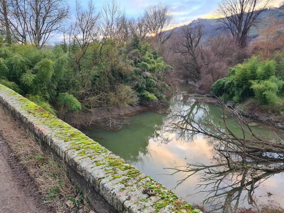 De 70m² Avec Vue Sur Le Massif Du Pilat * Clonas-sur-Vareze
