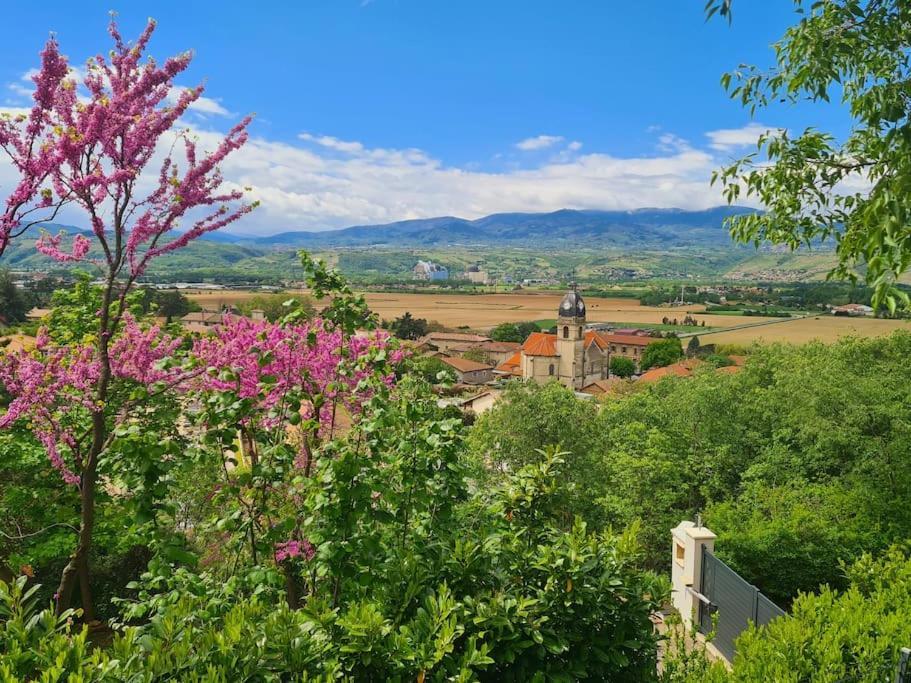 Apartment De 70m² Avec Vue Sur Le Massif Du Pilat